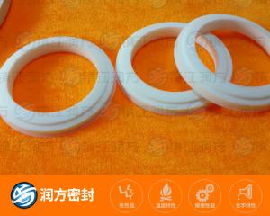聚四氟乙烯 垫片
